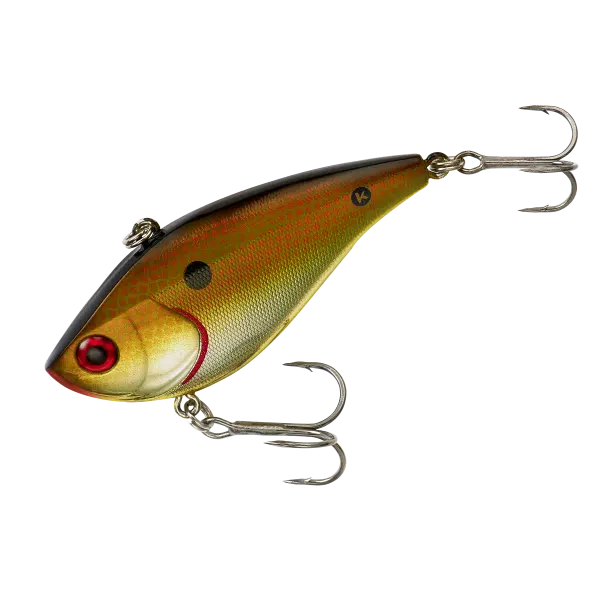 Copper Shiner