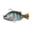 Pinfish