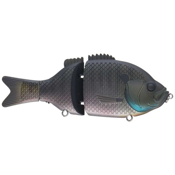 BaitSanity ExplorerGill Sink