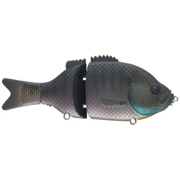 BaitSanity ExplorerGill Sink