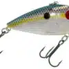 Sexy Shad Chrome